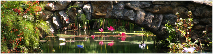 mckee gardens
